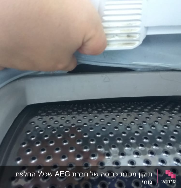 יד מחזיקה גומי של מכונת כביסה